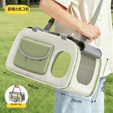 10비파 반려동물 이동장 이동장 고양이 이동가방, 1개, 파티그린