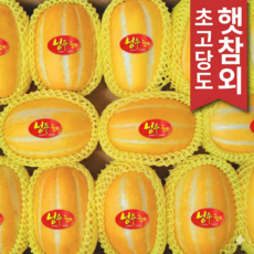 [초고당도 햇참외] 성주 참외 로얄과 가정용 선물용 꿀참외, 1개, 가정용 로얄과 2kg
