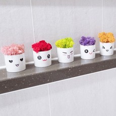 스칸디아모스 천연이끼 공기정화 이모티콘 화분, 이모티콘 모스-레드