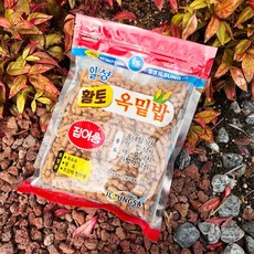 일성사 황토 옥밑밥 옥내림낚시 붕어낚시 미끼, 600g, 1개