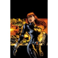 (영문도서) Black Widow Modern Era Epic Collection: The Itsy-Bitsy Spider Paperback, Marvel Universe, English, 9781302964061