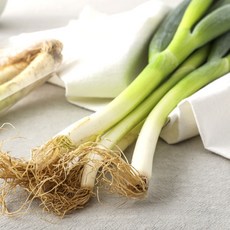 국내산 제철 선별 신선 뿌리 흙대파 대파 특품, 4kg, 1박스