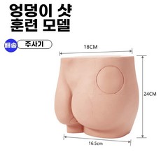 디얼픽유 팡쿠 실습용 엉덩이 실습 보건 교육 주사 의료 연습용 모형 인체모형, A. 엉덩이 주사 모델, 1개
