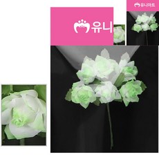 각장미 연두