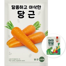 NH농우바이오 달콤하고 아삭한 당근 씨앗 종자 2000립, 1개