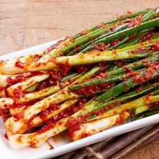 고운푸드 전라도 가정식 국내산 파김치, 1개, 1kg