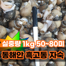 골뱅이 흑골뱅이 자숙골뱅이 동해안골뱅이 실중량 1kg 50~80미, 자숙흑골뱅이 1kg 50~80미, 1개