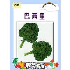 【野菜部屋】O03 日本巴西里種子 俗稱'荷蘭芹', 1包