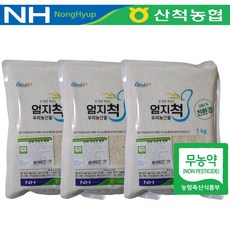 무농약 농협 찹쌀 3kg 2025년산 친환경 1kg, 3개