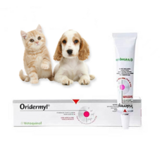 프랑스 연고 5통구입제한 A-0351, 1개, 10g