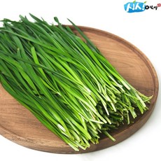 싱싱이네 일반 하우스 국내산 부추 정구지, 1개, 1kg