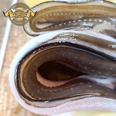 [재구매율이 높은 바다 장어] 국내산 남해안 자연산 바다 장어 손질 장어 뼈 소스 포함 생물 가성비 좋은 장어, 1개, 가정용 로얄 자연산 장어 3250g 내외