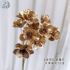大好屋 銀蓮花 手工花 乾燥花 材料包 永生花 拍照道具 居家佈置, 銀蓮花【金色】大束裝