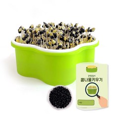 더조은키즈 초간단 콩나물 키우기 키트(관찰일지포함) 채소 씨앗 비타민채 보리 식물 취미 수경재배 홈가드닝 어린이 수업 방과후, 1개