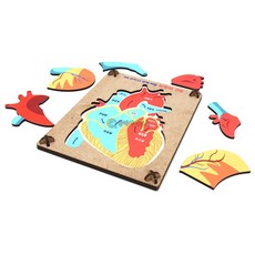 gtco 인체 퍼즐 심장의 구조 6pcs 1인용 과학실험 과학실험키트, 상세페이지 참조, 상세페이지 참조