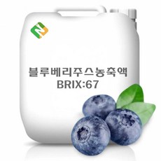 블루베리주스농축액 67Brix 200g 샘플, 1개