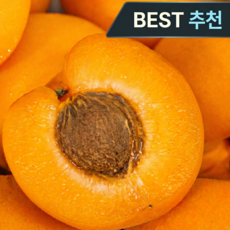 [고당도선별] 새콤달콤 부드러운 제철 살구, 1세트, 3kg