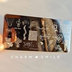 네일 템플릿 만화 캐릭터 스탬핑 플레이트 프렌치 라인 기하학 꽃 잎 동물 이미지 스테인레스 스틸 아트 스텐실, 옵션16) CJT-062, 1개