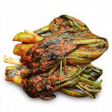 당일김장 전라도 여수 돌산 갓김치 3kg, 1개