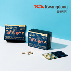 광동 혈행디펜스 은행잎추출물 혈액순환 나토키나제 영양제 (2개월분 120정) [원산지:국산], 1개, 120정