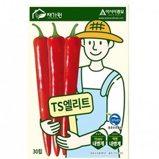 고추종자 TS엘리트 30립 고추씨앗 kdy*5506DE
