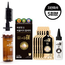 쉽고 빠른 국산 특허 바로빗 2 브러쉬 용기세트 + 염색약 5회분, 1개, 자연흑색