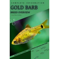 (영문도서) Gold Barb: From Novice to Expert. Comprehensive Aquarium Fish Guide Paperback, Independently Published, English, 9798398292565