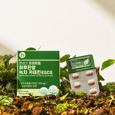 엔썸잇 녹차 카테킨 EGCG 추출물 다이어트 보조제 체지방감소, 3개, 60정