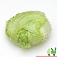 사라상회 양상추 (6봉) 3Kg, 1세트