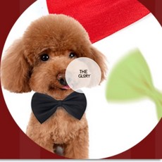 더글로리 나비넥타이 유아나비넥타이