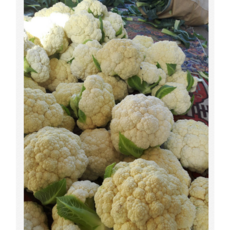 수퍼푸드 국내산 칼리플라워세트 클루코시놀레이트 위장 면역력 식이섬유 다이어트, 2개, 450g