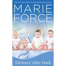 (영문도서)Delivery After Dark A Gansett Island Novel Hardcover, HTJB, Inc., English, 9781966871163