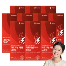 [휴온스N 공식] 아르기닌 파워 6000 고함량 L 아르기닌, 10박스, 15회분