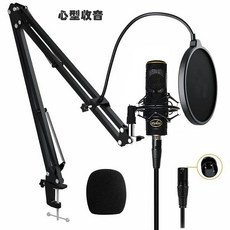 【台灣原創品牌】MicValu 麥克樂 R6 34mm大震膜電容式麥克風需48v 提高亮度與優化音質增加音色 網路天空, R6 電容式麥+nb35支架+防噴網子