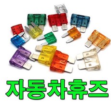 10개 자동차 유리관 휴즈 퓨즈 카휴즈 FUSE 휴즈홀더 852890, 유리관 소 15A(10개)