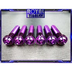 ROYAL 鈦合金螺絲 牙距 64正鈦螺絲 M10X60, 帝王黑,P1.25, 1個