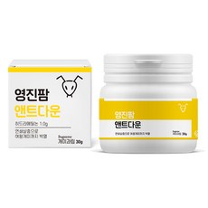 영진팜 앤트다운 개미과립 여왕개미까지 박멸 텃밭 마당 집개미 퇴치, 1개, 30g
