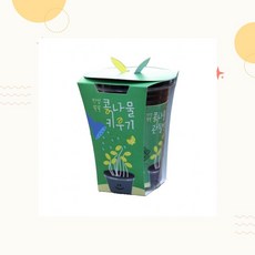 컵타입 콩나물키우기 관찰용 수경형 화분 교육용 새싹키우기세트, 1개