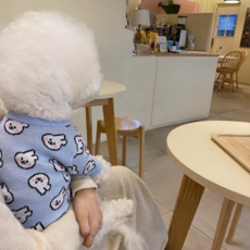 봄 가을 겨울 강아지옷 고양이옷 귀여운 토끼패턴 고양이 & 강아지 겸용 니트, 1개, 블루