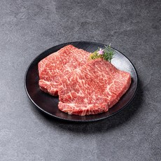 정육백화점 1++ 9등급 미경산 한우 채끝살 200g /워터에이징 숙성+스킨포장, 1개