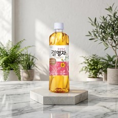 웅진 결명자 500ml 40펫, 40개
