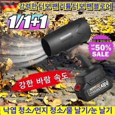 1/1+1 강력한 터보 팬 리튬 터보 팬 블로어 브러시리스모터 제진/눈 떨어뜨림/물 빼기, [1+1](2세트)220V*2