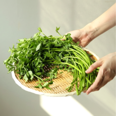 산지직송 싱싱한 청도 한재 미나리, 500g, 1개