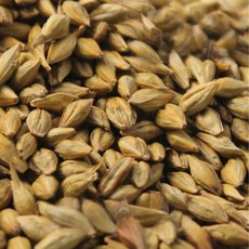 2025년산 겉보리볶음 국산보리차 100% 쌀아지매, 1개, 1kg