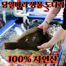 [한정수량] 생물 봄 도다리 가자미, 1세트, 2kg