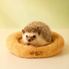 고슴도치 햄스터 소형 애완동물 방석 20cm 쿠션s.k, 1개, 베이지