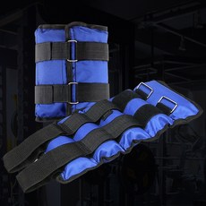 손목 발목 모래주머니 중량밴드 1쌍 (2개) PAZ1KG, 블루, 2kg