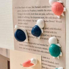 피그랩 느릿느릿 자석 세트 6종 거북이 달팽이 마그넷 네오디움자석