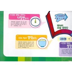 큰 그림으로 보는 성경개관, 해피비전