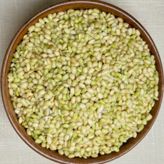 영원농산 25년산 국산 진도 녹미 찰녹미 녹색쌀, 1개, 1kg